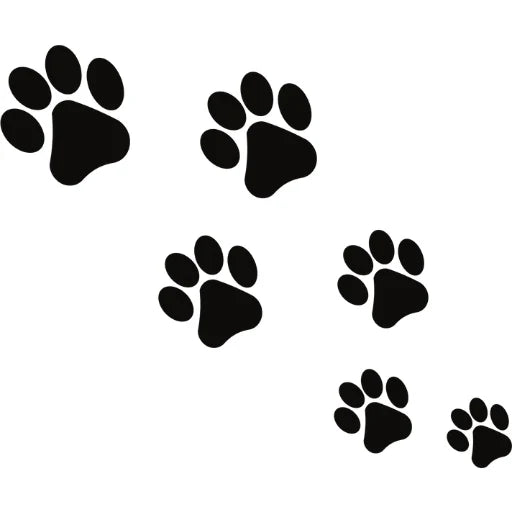 feature-item-3
